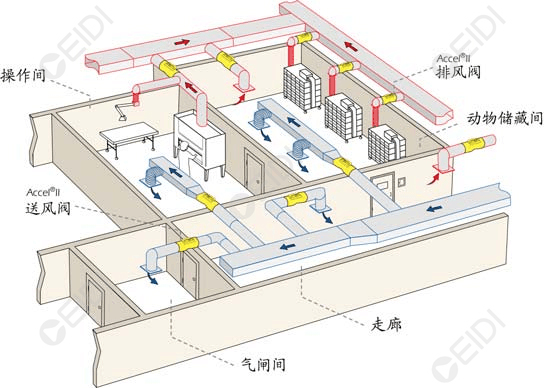 动物房洁净室空调设计：开放式笼架具屏障环境送回风设计要点  CEIDI西递