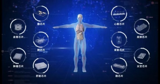 东南大学团队牵头完成中国首个器官芯片国家标准