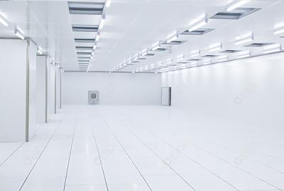 国家药监局关于发布支持化妆品原料创新若干规定的公告（2025年第12号）